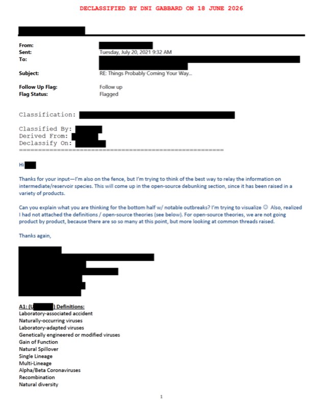 A declassified, partly redacted intelligence email