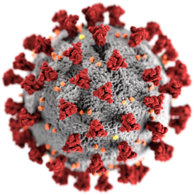 Illustration of the SARS-CoV-2 virus